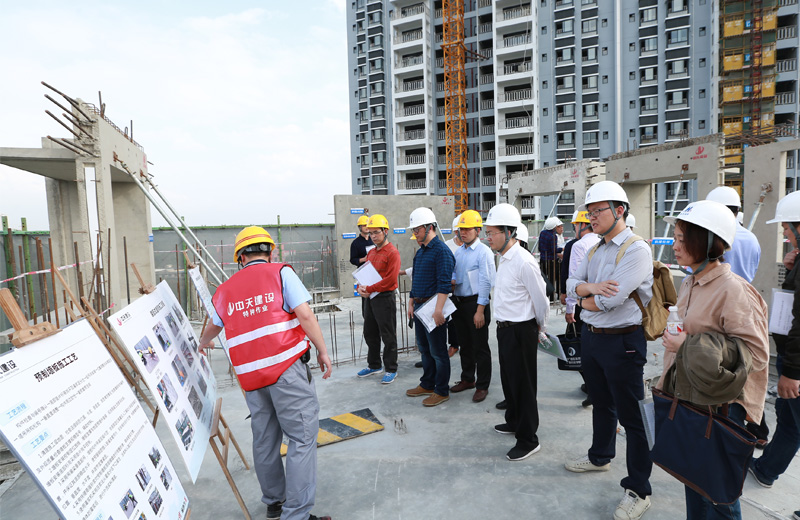 2018年12月6日，廣西區首個住宅裝配式建筑觀摩會在創世大發八建南寧興寧·大唐果項目順利召開。