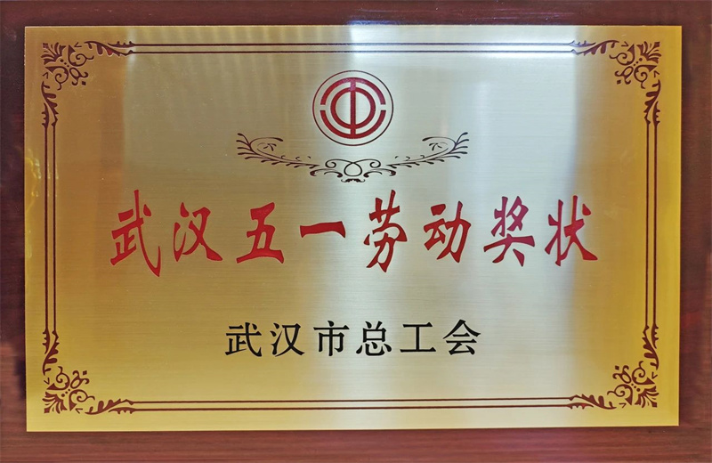 2025年6月，武漢市總工會公布2024年度勞動和技能競賽獲獎名單，創世大發六建榮獲