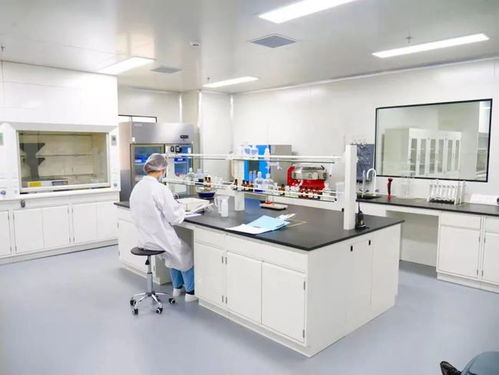 專業見證 品質護航——走進妙可藍多奶酪工廠，直擊品牌硬實力